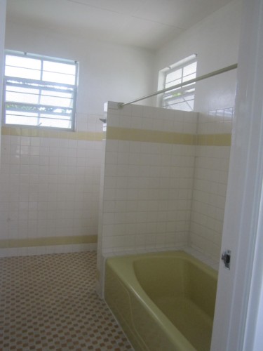 1 MASTERS BATH TUB