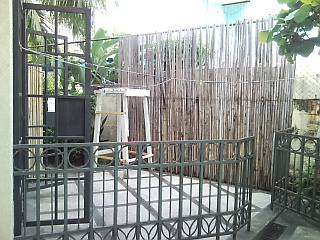 Back View 1