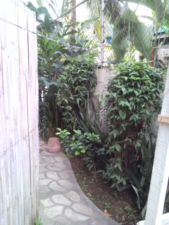 Back View 2
