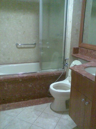 Bathroom View 2