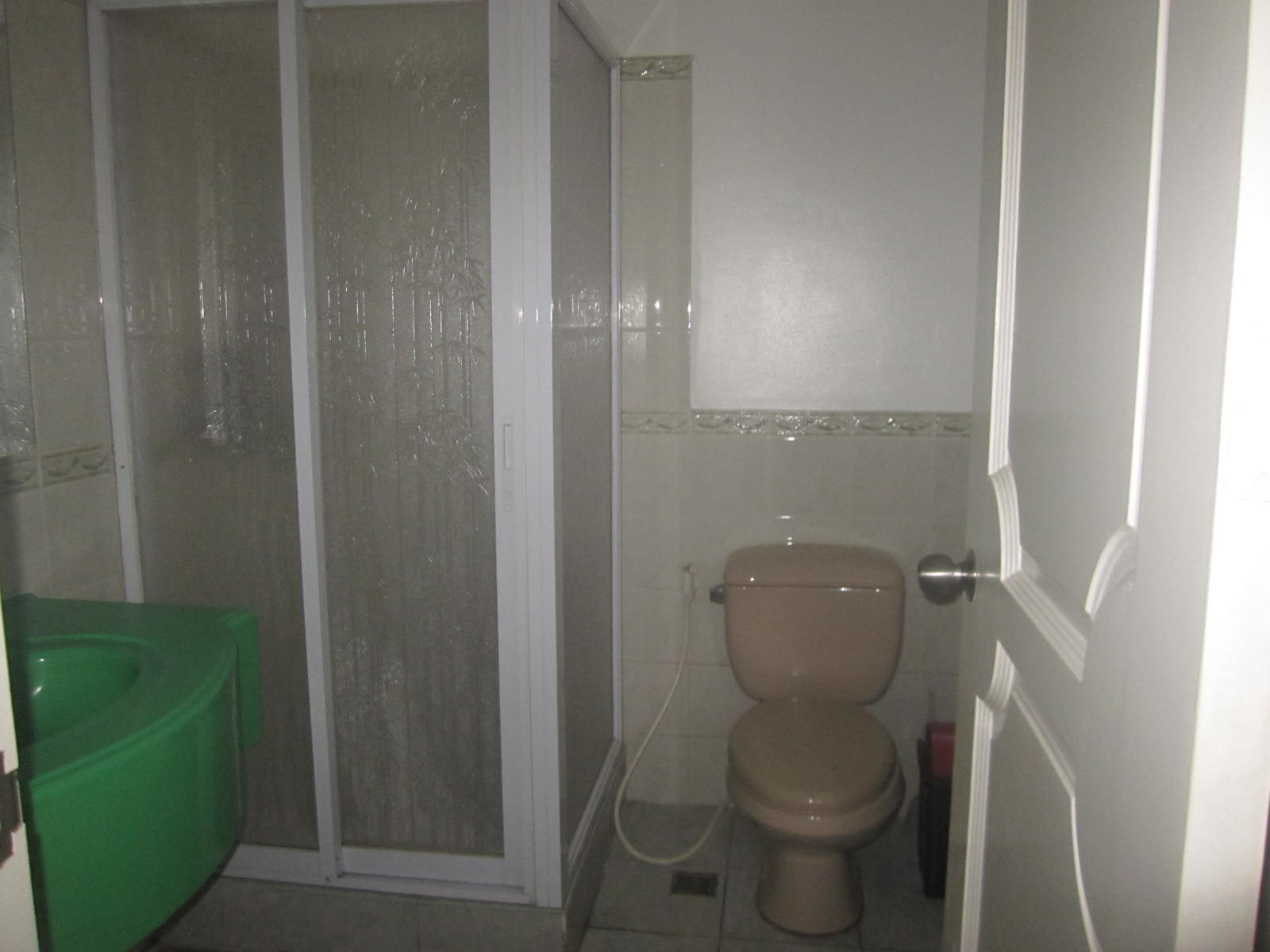 Bathroom view 1