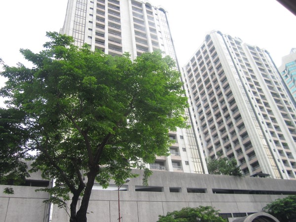 Front Building