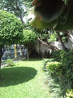 Garden View 1