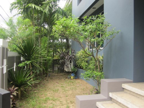 Garden View 1