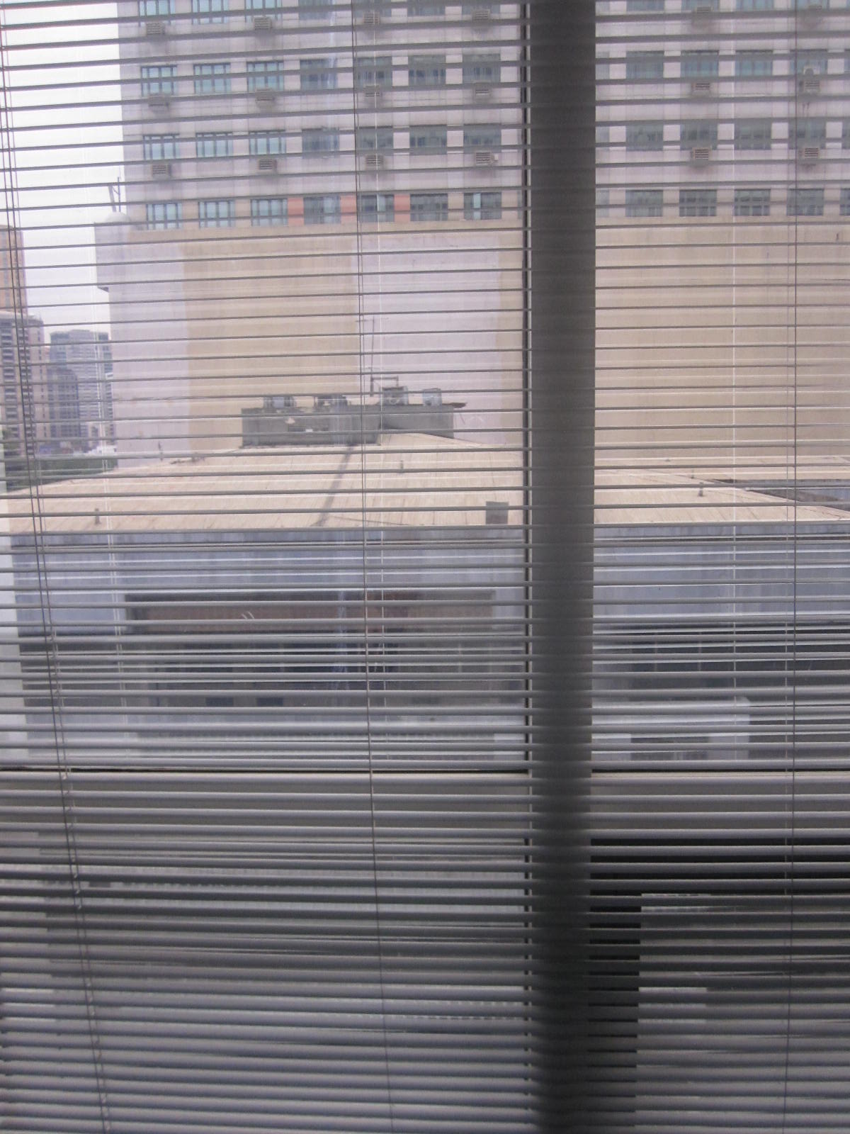Property View 4