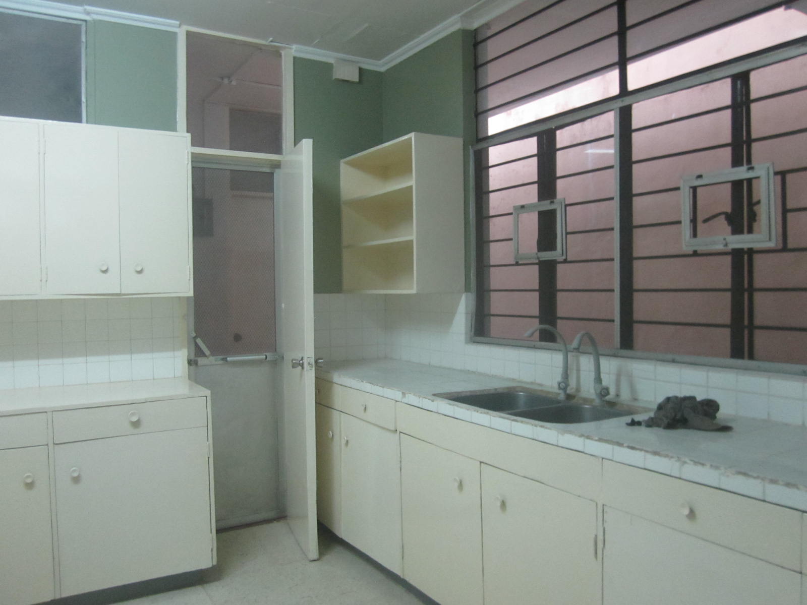 Kitchen View 1