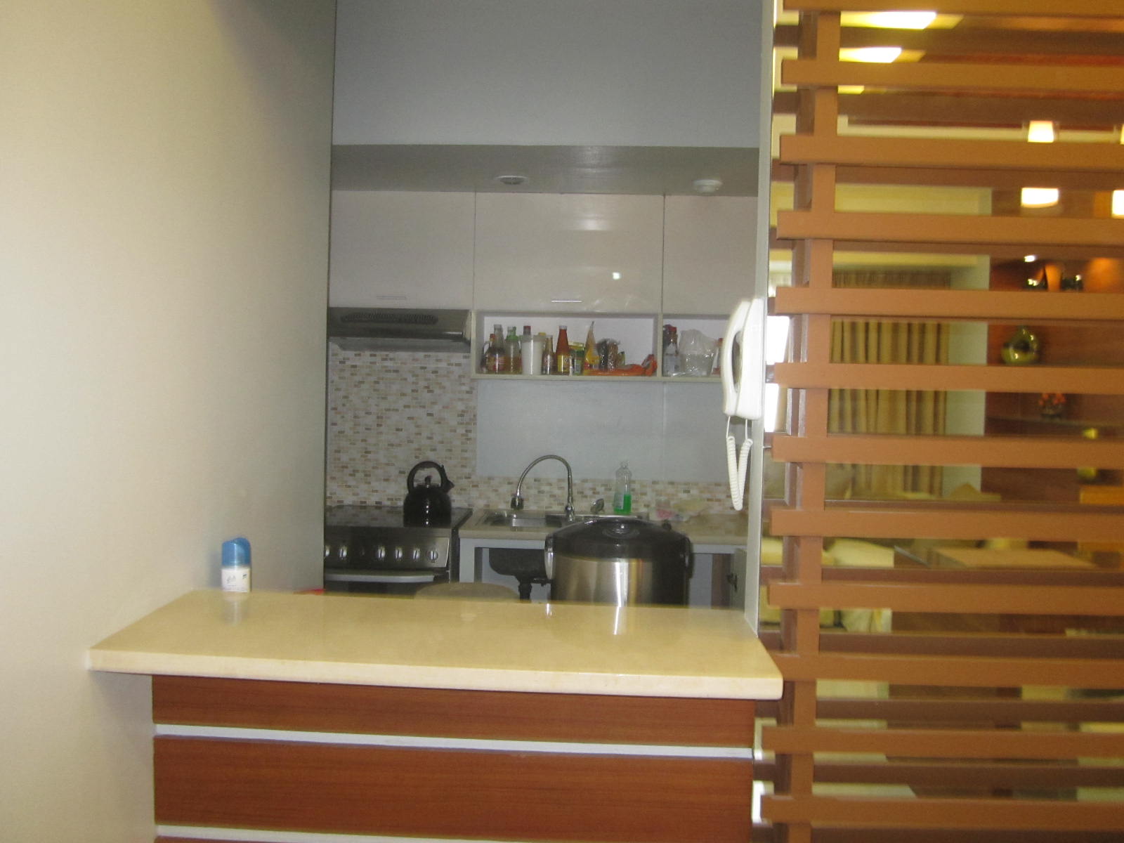 Kitchen View 1