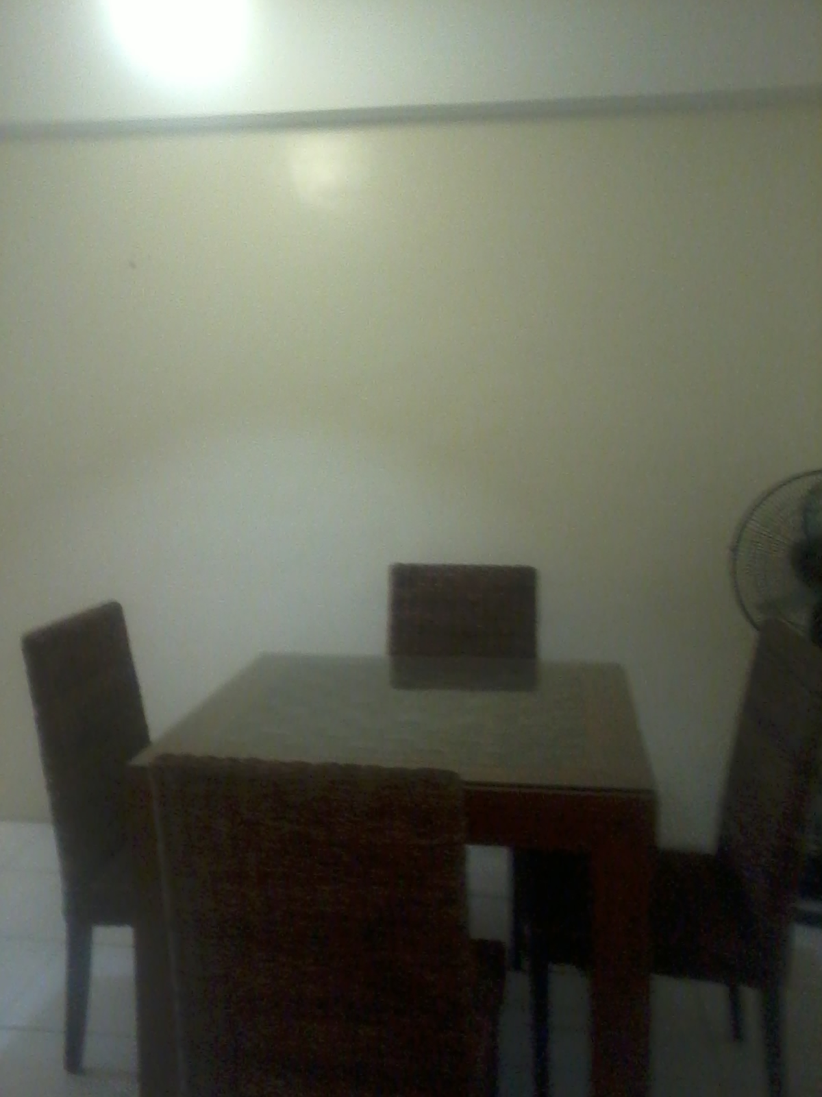 dining room view 1