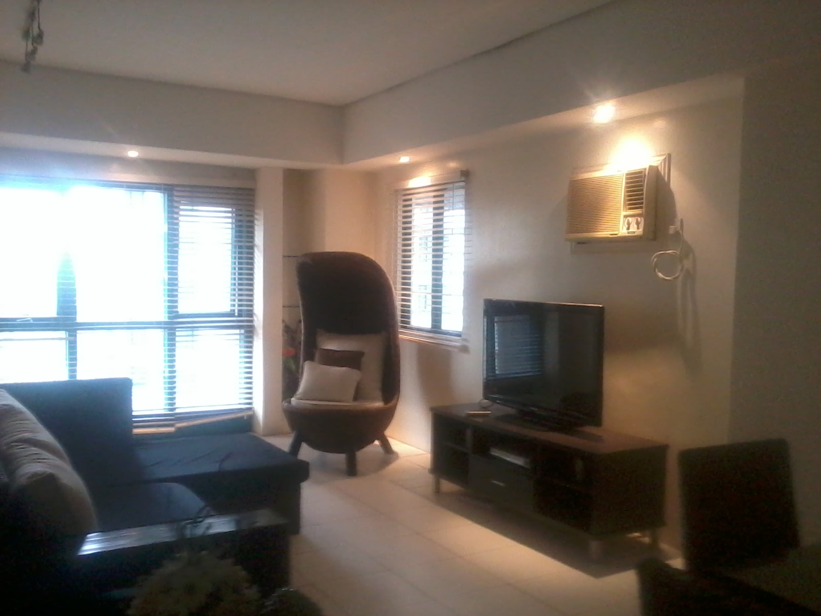 living area view 1